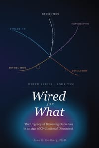 Wired for What: The Urgency of Becoming Ourselves in an Age of Civilizational Discontent cover