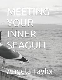 Meeting Your Inner Seagull cover