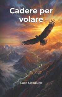 Cadere per volare cover