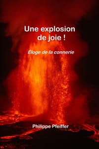 Une explosion de joie !: Éloge de la connerie cover