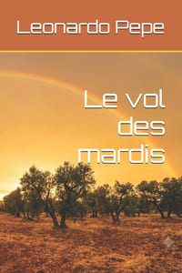 Le vol des mardis cover