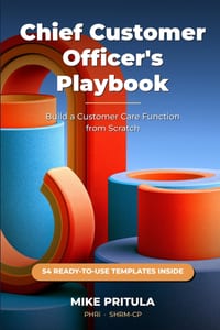 Chief Customer Officer's Playbook: Build a Customer Care Function from Scratch - Role, Audit, Strategy, Team, Process, Metrics cover