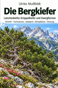 Die Bergkiefer cover