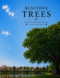 Beautiful Trees: A Guide to the Remarkable Trees of the United States cover