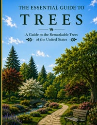The Essential Guide to Trees: A Guide to the Remarkable Trees of the United States cover