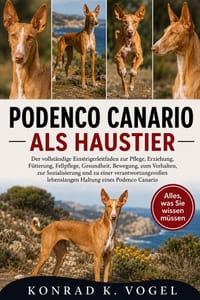 Podenco Canario ALS Haustier: Der vollständige Einsteigerleitfaden zur Pflege, Erziehung, Fütterung, Fellpflege, Gesundheit, Bewegung, zum Verhalten, cover