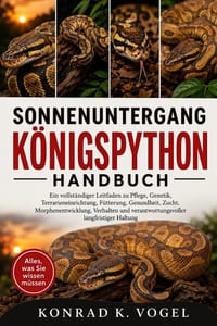 Sonnenuntergang-Königspython-Handbuch: Ein vollständiger Leitfaden zu Pflege, Genetik, Terrarieneinrichtung, Fütterung, Gesundheit, Zucht, Morphenentw cover