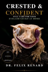 Crested & Confident: Full Care for Your Eyelash Gecko at Home cover