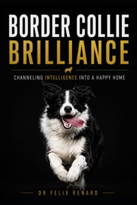 Border Collie Brilliance: Channeling Intelligence into a Happy Home cover