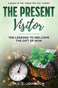 The Present Visitor: Ten Lessons to Welcome the Gift of Now cover
