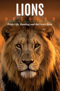 Lions Decoded: Their Pride, Mane, and ROAR cover