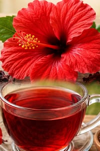 To turn grey hair permanently black, one should drink hibiscus flower tea.: Hibiscus Tea and Grey Hair: An Evidence-Based Wellness Reference cover