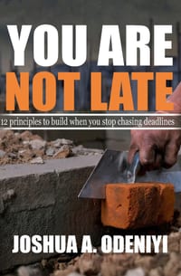You Are Not Late: 12 Principles to build when you stop chasing deadlines cover