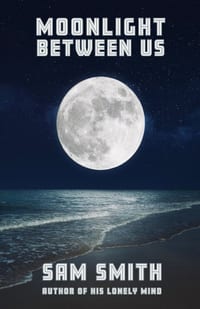 Moonlight Between Us cover