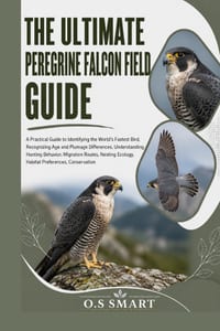 The Ultimate Peregrine Falcon Field Guide: A Practical Guide to Identifying the World's Fastest Bird, Recognizing Age and Plumage Differences, Underst cover