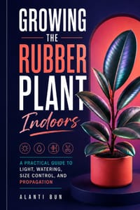 Growing the Rubber Plant Indoors: A Practical Guide to Light, Watering, Size Control, and Propagation cover