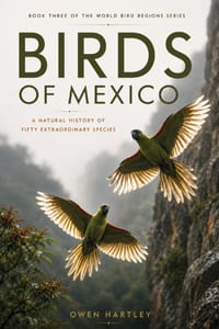 Birds of Mexico: A Natural History of Fifty Extraordinary Species cover
