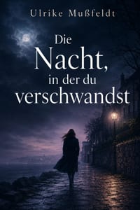 Die Nacht, in der du verschwandst cover