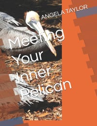 Meeting Your Inner Pelican cover