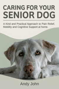 Caring for Your Senior Dog: A Kind and Practical Approach to Pain Relief, Mobility and Cognitive Support at Home. cover