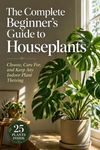 The Complete Beginner's Guide to Houseplants: Choose, Care For, and Keep Any Indoor Plant Thriving cover