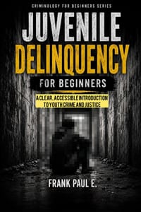Juvenile Delinquency for Beginners: A Clear, Accessible Introduction to Youth Crime and Justice cover