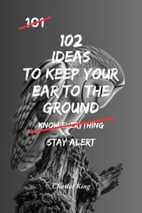 102 Ideas To Keep Your Ear To The Ground: No Perfect Awareness. Simple Everyday Ideas To Stay Alert, Notice Opportunities, Read Situations Better, and cover
