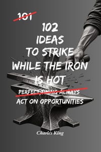 102 Ideas To Strike While The Iron Is Hot: No Perfect Timing. Simple Everyday Ideas To Recognise Opportunities, Take Action, Avoid Delay, and Make The cover