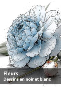 Fleurs, Dessins en noir et blanc: Une collection botanique à contempler et à créer cover