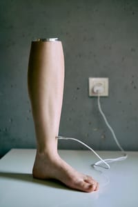 The Footprint and the Algorithm: Meaning, Mediation, and the Systems We Make cover
