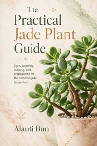 The Practical Jade Plant Guide: Light, watering, shaping, and propagation for the common jade houseplant cover