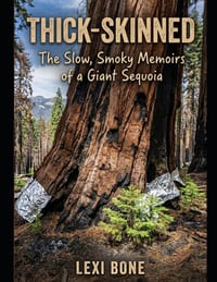Thick-Skinned: The Slow, Smoky Memoirs of a Giant Sequoia cover