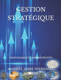 Gestion Stratégique: Responsabilité Administrative cover