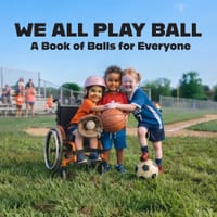 We All Play Ball: A Book of Balls for Everyone cover