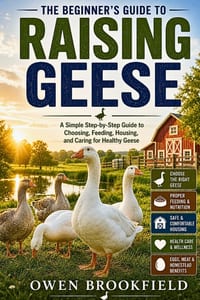 The Beginner's Guide to Raising Geese: A Simple Step-by-Step Guide to Choosing, Feeding, Housing, and Caring for Healthy Geese cover