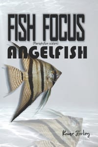 Fish Focus: Angelfish (Pterophyllum scalare): Behaviour, Care, and Natural Habitat Guide cover