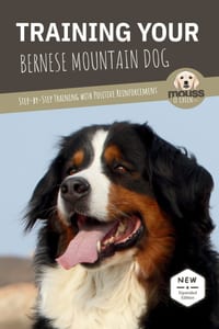 Training Your Bernese Mountain Dog: Step-by-Step Training with Positive Reinforcement cover