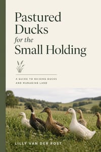 Pastured Ducks for the Small Holding: A Guide to Raising Ducks and Managing Land cover