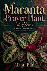 Maranta Prayer Plant at Home: A Practical Guide to Growing Maranta leuconeura Indoors cover