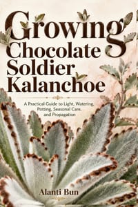 Growing Chocolate Soldier Kalanchoe: A Practical Guide to Light, Watering, Potting, Seasonal Care, and Propagation cover