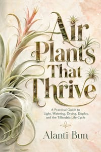 Air Plants That Thrive: A Practical Guide to Light, Watering, Drying, Display, and the Tillandsia Life Cycle cover