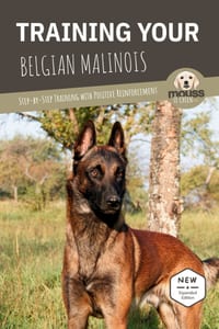 Training Your Belgian Malinois: Step-by-Step Training with Positive Reinforcement cover
