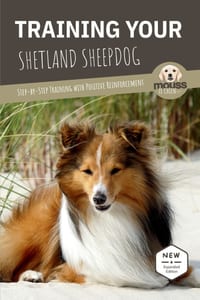 Training Your Shetland Sheepdog: Step-by-Step Training with Positive Reinforcement cover