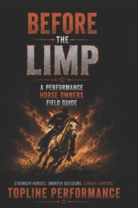 Before The Limp cover