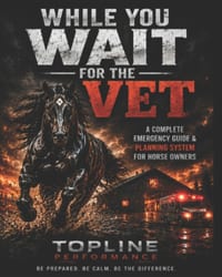 While You Wait For The Vet: The Horse Owner's Emergency Plan, Record Book, and Action Guide cover