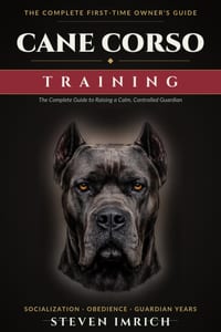 Cane Corso Training: The Complete Guide to Raising a Calm, Controlled Guardian - Socialization, Obedience, and Real Fixes for Puppy Biting, Leash Pull cover