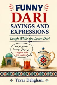 Funny Dari Sayings and Expressions: Laugh While You Learn Dari cover