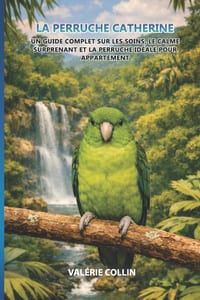 La Perruche Catherine: Un guide complet sur les soins, le calme surprenant et la perruche idéale pour appartement cover