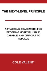 The Next-Level Principle: A Practical Framework for Becoming More Valuable, Capable, and Difficult to Replace cover