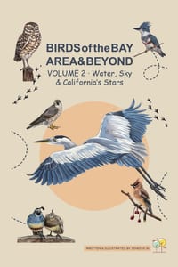 BIRDS of the BAY AREA & BEYOND: Volume 2 - Water, Sky & California's Stars cover